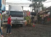 Pohon Pisang Tumbuh di Simpang Jalan Selakaso