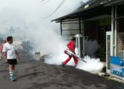 Fogging Cegah DBD di Tengah Virus Corona
