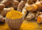 Diyakini Penangkal Corona, Harga Koneng Gede Melambung di Pasar Manis dan Cikurubuk