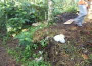 Sadis, Maling Potong Curiannya di Malaganti