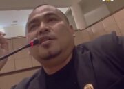 Demi Hamzah: Bupati di Tengah Birokrasi, Ibarat Asterix dan Obelix di Athena