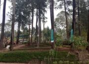 Sekdis PMPTSP: Stop Pembangunan di Wisata Alam Cijambu, Jika Belum Ada IMB