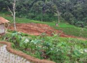 Sedikitnya 1 Hektar Sawah Warga Tergerus Pergerakan Tanah