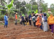 Papayan “Agricamp” Membangun Ketahanan Pangan Melibatkan Anak Muda
