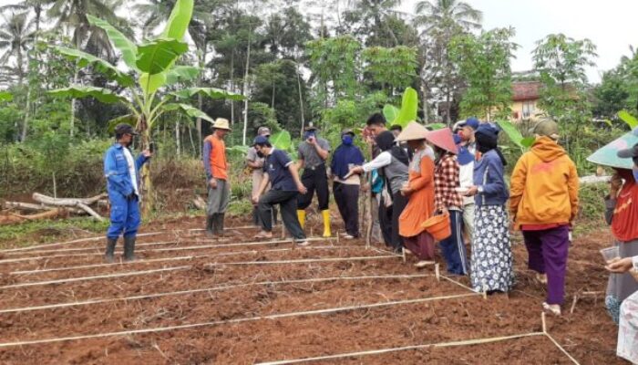 Papayan “Agricamp” Membangun Ketahanan Pangan Melibatkan Anak Muda