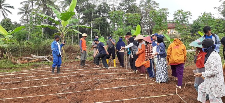 Agricamp: Menjawab Tantangan Pertanian Modern di Desa Papayan