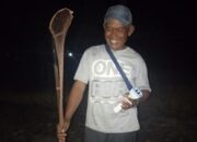 Musim Hujan, Pemburu Kodok ‘Swike’ di Wado Raup Keuntungan