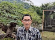 Bonsai Sumedang Tembus Pasar Dunia