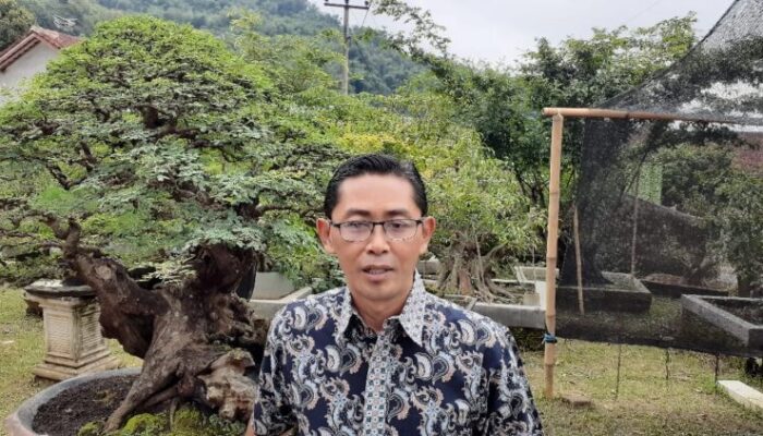 Bonsai Sumedang Tembus Pasar Dunia