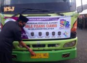 Ekspor ke Malaysia, Sale Lidah Ciamis Mendunia