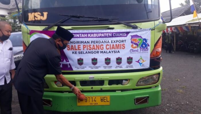 Ekspor ke Malaysia, Sale Lidah Ciamis Mendunia