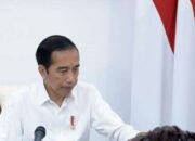 Denny Indrayana: Pemerintah Jokowi Aman