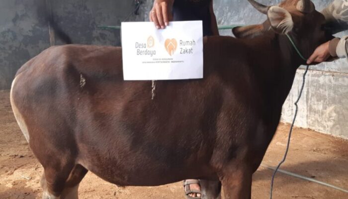 Rumah Zakat dan IWO Indramayu Terima Titipan Hewan Kurban