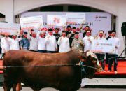 Telkomsel Salurkan Hewan Kurban kepada 43.000 Penerima Manfaat