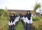 Sekolah Ekologi Proyeksi Tata Kelola Kemandirian Pangan Purwakarta