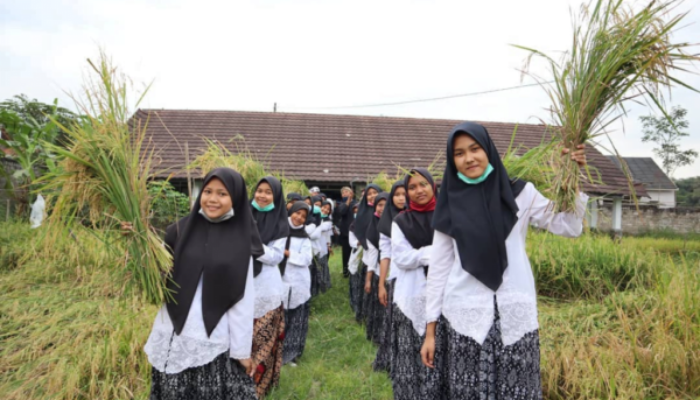 Sekolah Ekologi Proyeksi Tata Kelola Kemandirian Pangan Purwakarta