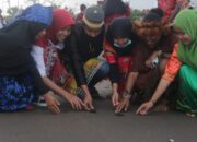 Pelepasan Tukik Nusantara Maknai Kemerdekaan di Pantai Pangandaran