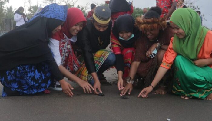 Pelepasan Tukik Nusantara Maknai Kemerdekaan di Pantai Pangandaran