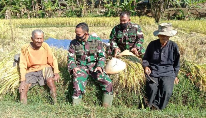 Tingkatkan Produksi Pertanian, Dandim Sumedang Terapkan Program Bios 44