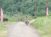 Paket Spesial Merdeka Internetan #SurpriseDeal, Telkomsel Maknai HUT ke-75 RI