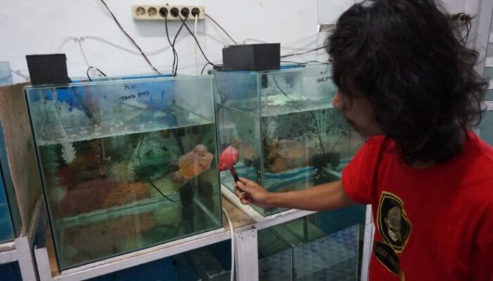 Cerita Pengusaha Louhan Sirnagalih Tasik, Ketika Pandemi Datang