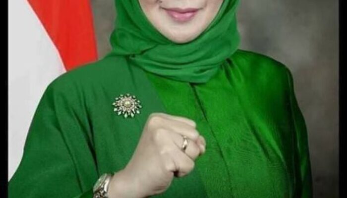 Bakal Calon Bupati Sukabumi, Reni Marlinawati Meninggal Dunia