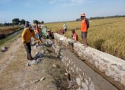 Mitra Cai Kedungmulya Bangun Saluran Air