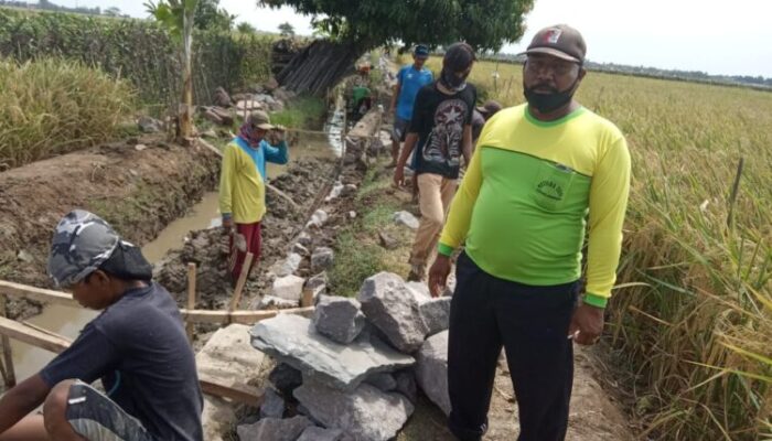 P3A Pandawa Lima Bangun Irigasi, Direspons Petani 