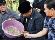 Wagub Jabar Tinjau Perkebunan Kroto di Tasikmalaya
