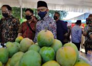 15.834 UMKM Indramayu Terima Bantuan