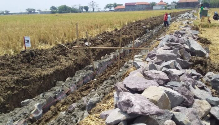 Mitra Cai Asjar Jaya Gabuswetan Bangun Irigasi, Warga Kecewa