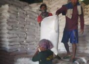 Fitria: Penyaluran Pupuk Bersubsidi Sesuai Alokasi