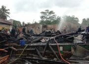 Si Jago Merah Lalap Los Kayu di Singaparna