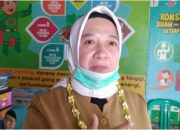 Hari Terakhir Penilaian Lomba Kampung Sehat, Pemenang Diumumkan di Hari Kesehatan Nasional