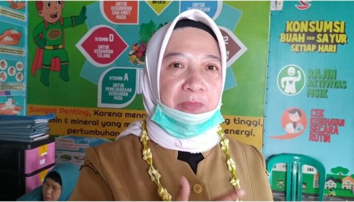 Hari Terakhir Penilaian Lomba Kampung Sehat, Pemenang Diumumkan di Hari Kesehatan Nasional
