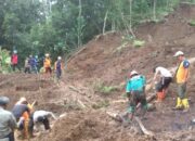 Tebing Setinggi 15 Meter Merosot di Ciwadaru