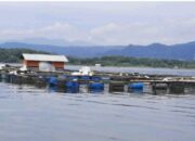 Perlukah Melegalkan KJA Waduk Jatigede?