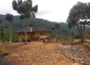 Soal Cisoka, Wabup: Bersyukur Jika APH Sudah Turun Tangan