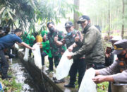Pangdam III Siliwangi, Tebar Benih Ikan di Situ Cisanti