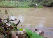 Tiani Akhirnya Ditemukan Sudah tak Bernyawa