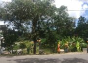 Kukang Ikut Pengaruhi Pasokan Listrik Tasela