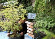 Sungai Cikapundung, Kembalikan Lewat Kearifan Lokal, “Gawir Kudu Diawian”