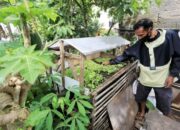 Pemuda Mandiri Kelurahan Sukawarna, Gelorakan Program Buruan SAE