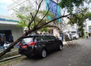 Angin Kencang, Pohon di Terusan BCA Timpa Mobil Plat Merah