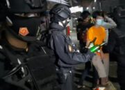 Maung Galunggung Beredar Malam Hari, Hasilnya