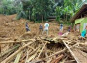 Hadapi Potensi Pohon Tumbang dan Pergeseran Tanah, BPBD Siapkan Langkah Antisipasi
