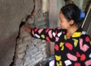 Dampak Pergeseran Tanah Gunung Tanjung Bertambah