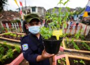 RW 07 Sukawarna Manfaatkan Lahan Jadi Buruan Sae