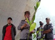 Terbiasa Menanam dan Merawat Pohon, Aiptu Nunuh Dijuluki ‘Manusia Pohon’