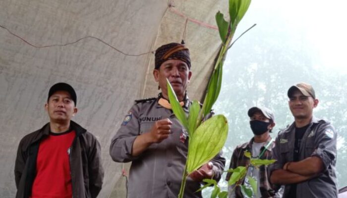 Terbiasa Menanam dan Merawat Pohon, Aiptu Nunuh Dijuluki ‘Manusia Pohon’